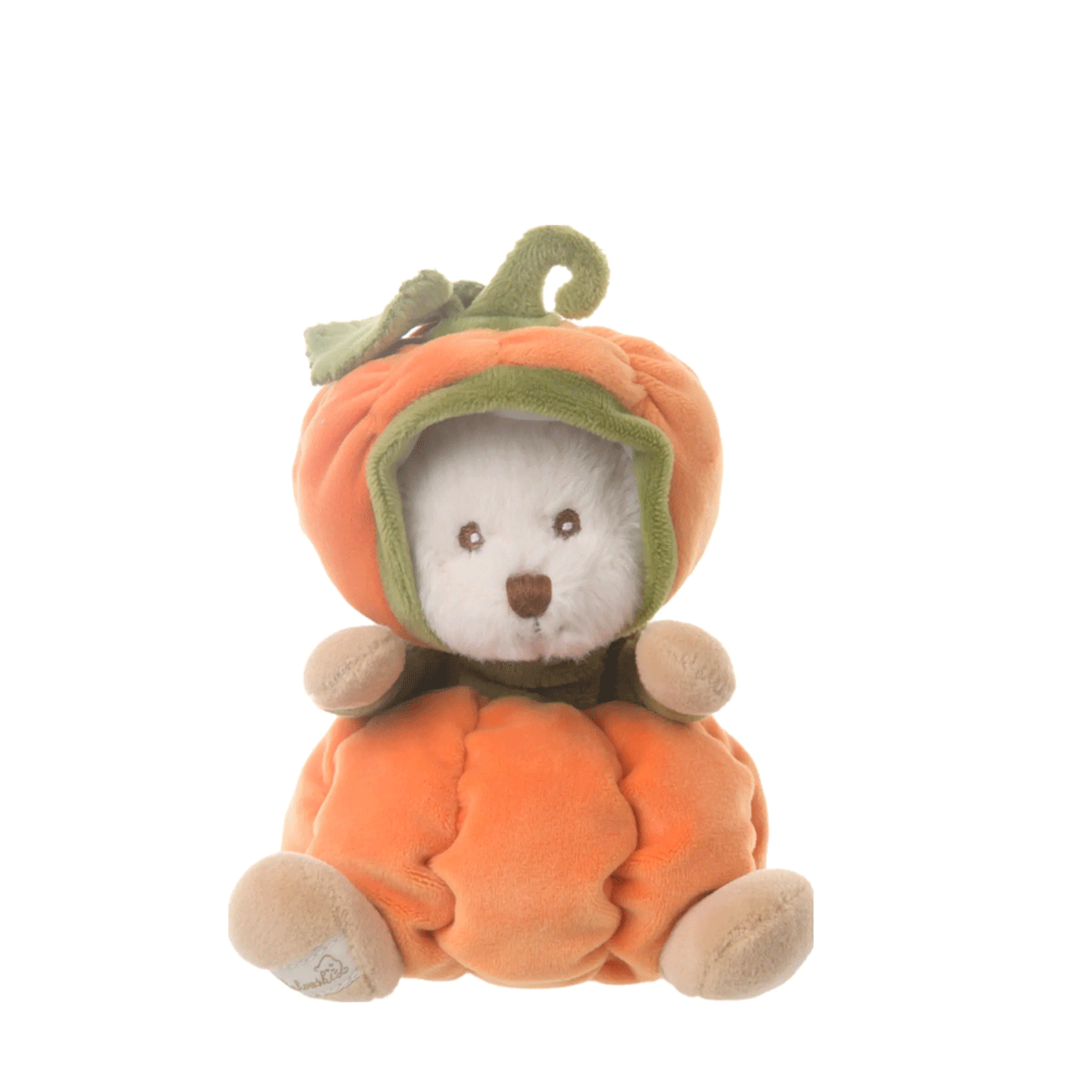 ziggy pumpkin orsacchiotto peluche bianco con vestito da zucca bukowski design